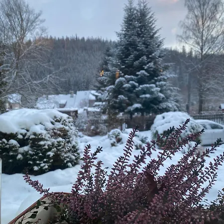 Homestay U Sykorky Mala Moravka